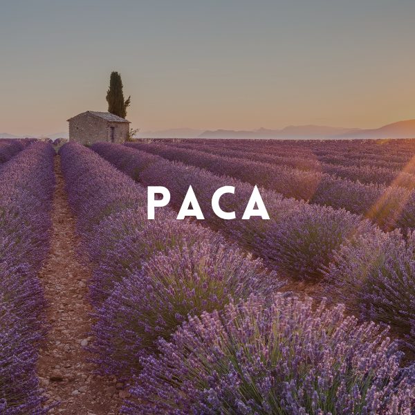 Association dans un multi-office – en société – Région PACA