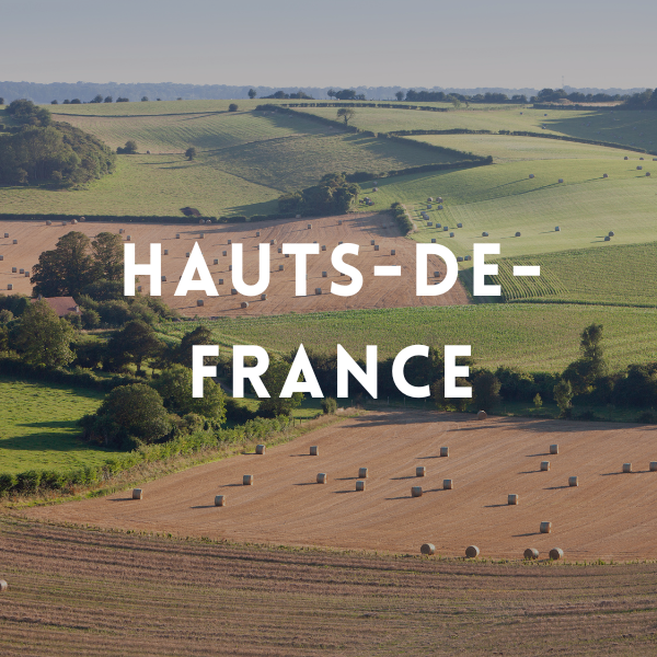 Cession d’une étude notariale – Région Hauts-de-France